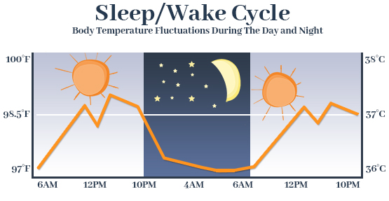 Body Temperature Fluctuations Graph