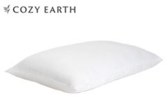 Cozy Earth Silk Pillow